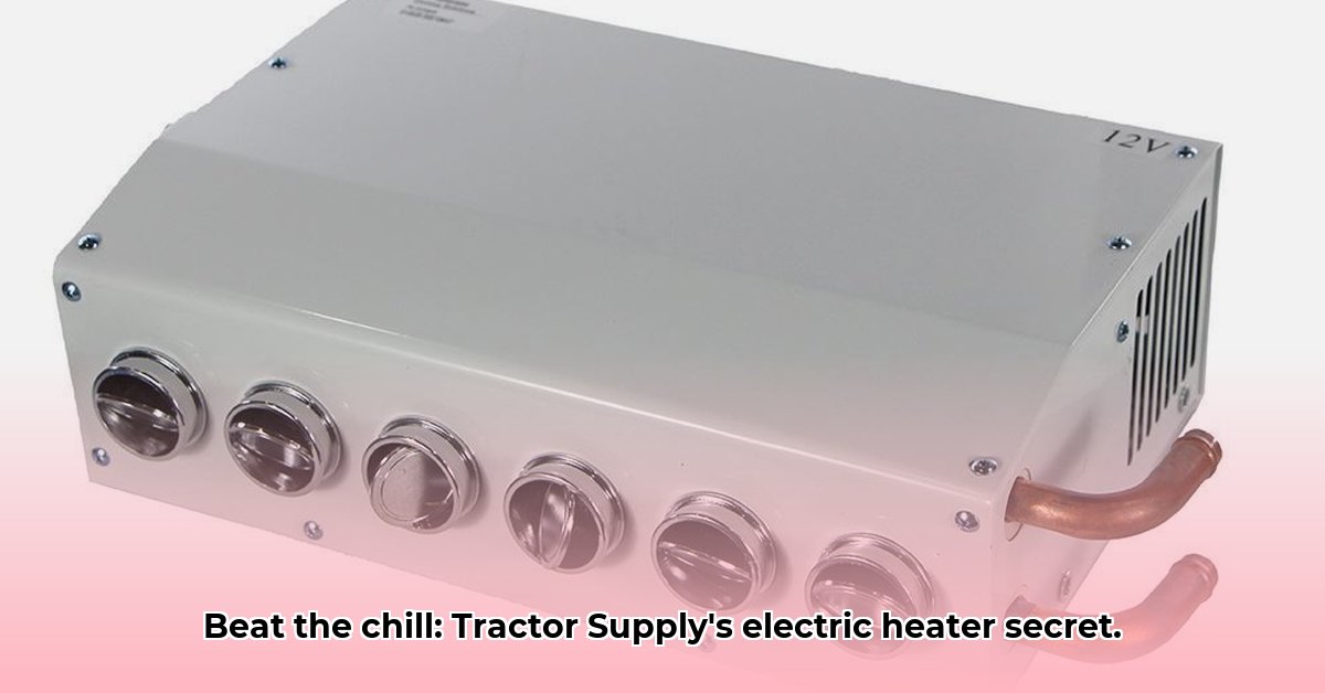 electric-heaters-tractor-supply